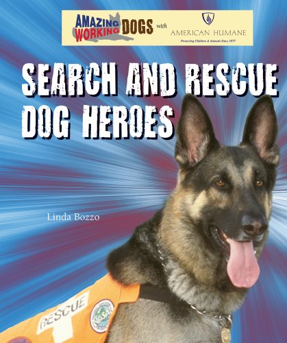 Search and Rescue Dog Heroes by Linda Bozzo
