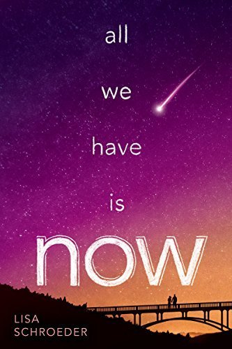 All we have is now by Lisa Schroeder