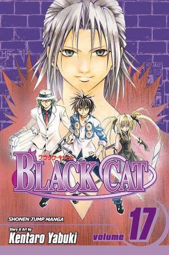 Algopix Similar Product 4 - Black Cat, Vol. 17
