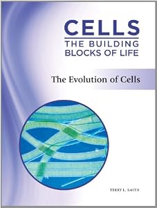 The evolution of cells