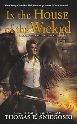 In the House of the Wicked: A Remy Chandler Novel