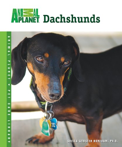 Dachshunds by Sheila Webster Boneham
