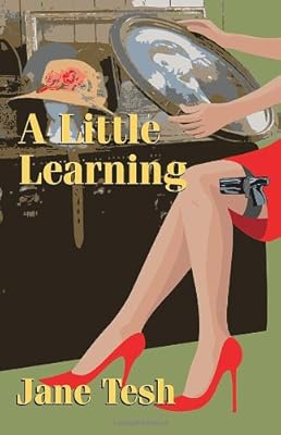 A Little Learning: A Madeleine Maclin Mystery