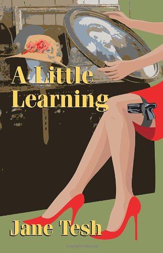 A Little Learning: A Madeleine Maclin Mystery by Jane Tesh