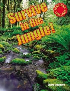 In the Jungle