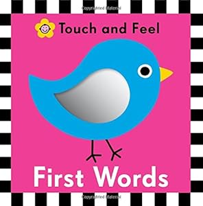First Words Touch and Feel by Roger Priddy