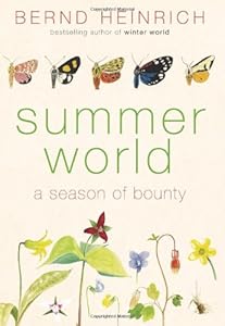 Summer World: A Season of Bounty