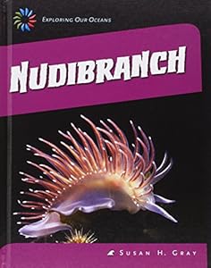 Nudibranch