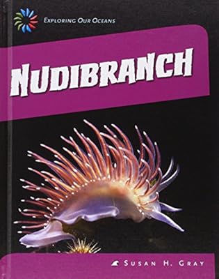Nudibranch