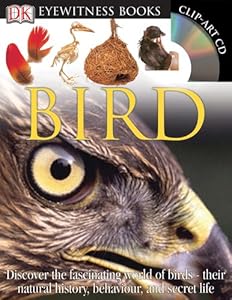Bird (DK Eyewitness Books)