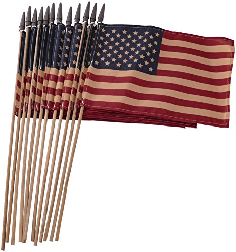 Algopix Similar Product 17 - Set of 12 Bulk Primitive American