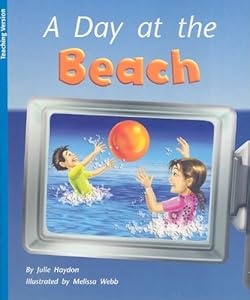 A Day at the Beach: Teacher Note (Rigby Flying Colors Blue (Levels 11-12))