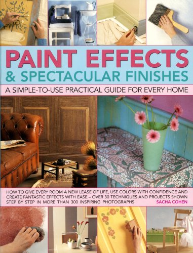 Paint Effects & Spectacular Finishes: a simple-to-use prac guide for every home: How to give every room a new lease of life, use colors with ... by step in more than 300 color photographs by Sacha Cohen