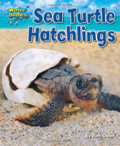 Sea Turtle Hatchlings by Ruth Owen
