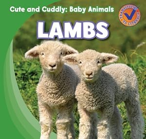 Lambs