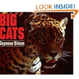 Big Cats