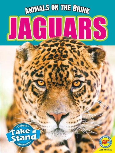 Jaguar by Lauren Diemer