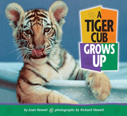 A Tiger Cub Grows Up (Baby Animals)