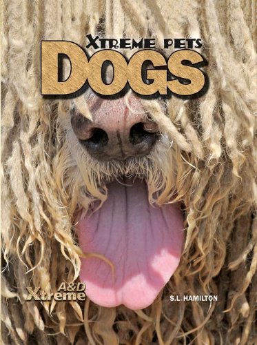 Dogs by S. L. Hamilton