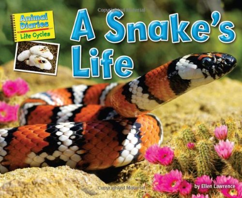 A Snake's Life by Ellen Lawrence