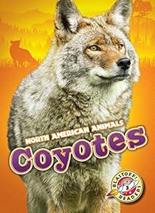Coyotes