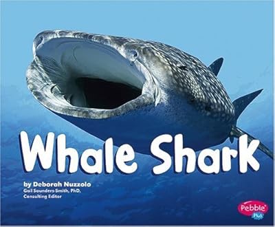 Whale Shark