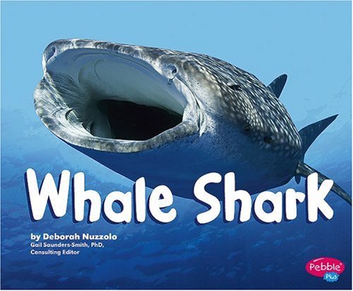 Whale Shark by Deborah Nuzzolo