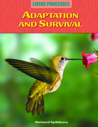 Adaptation and Survival by Richard Spilsbury