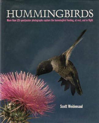 Hummingbirds