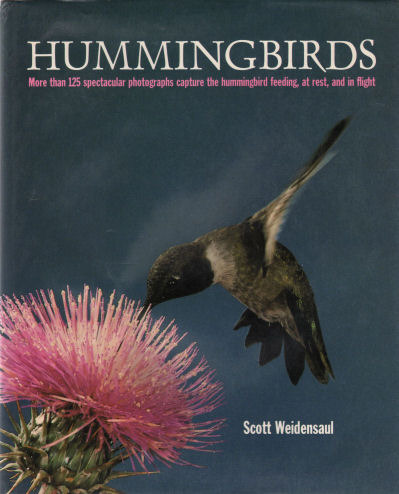 Hummingbirds by Scott Weidensaul