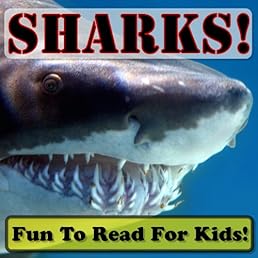Sweet Sharks! Learning About Sharks - Shark Photos And Facts Make It Fun! (Over 45+ Pictures of Different Sharks)
