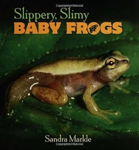Slippery, Slimy Baby Frogs