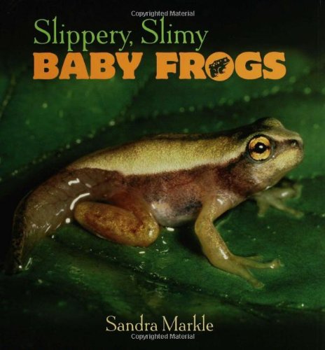 Slippery, Slimy Baby Frogs by Sandra Markle