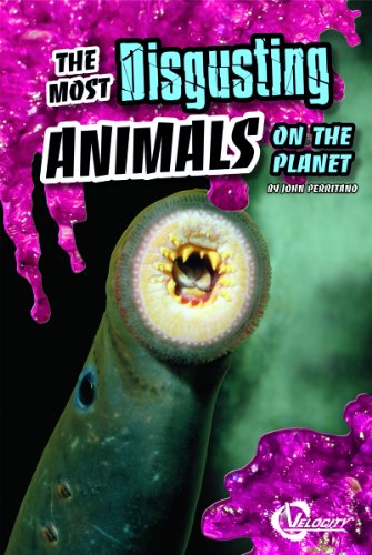 The Most Disgusting Animals on the Planet (Disgusting Stuff) by John Perritano