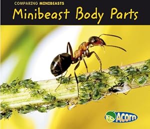 MINIBEAST BODY PARTS (Acorn: Comparing Minibeasts)