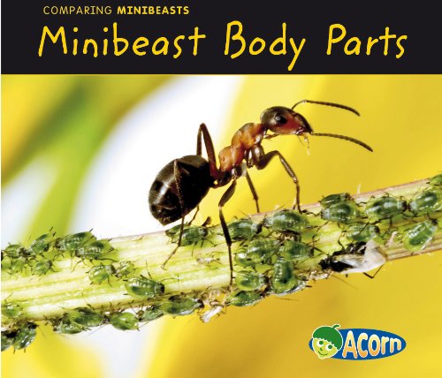 MINIBEAST BODY PARTS (Acorn: Comparing Minibeasts) by Charlotte Guillain
