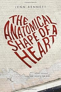 The anatomical shape of a heart