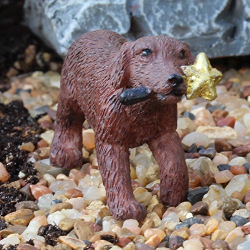 Algopix Similar Product 13 - Miniature Fairy Garden Cooper The Puppy