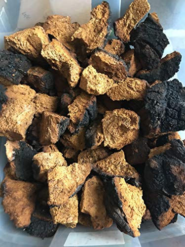Algopix Similar Product 20 - 100 Pure Wild Organic Alaska Chaga