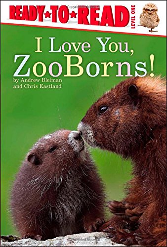 I Love You, ZooBorns! by Andrew Bleiman