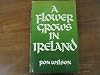 A flower grows in Ireland