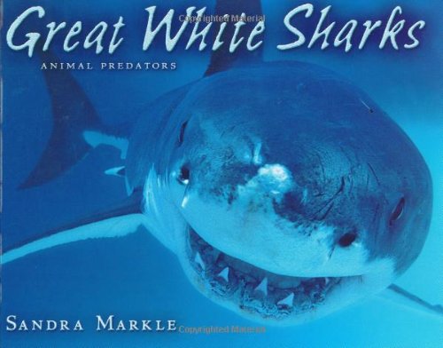 Great White Sharks (Animal Predators) by Sandra Markle