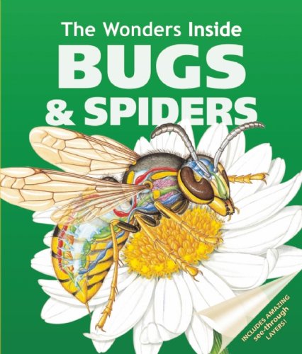 Bugs and Spiders by Jan Stradling