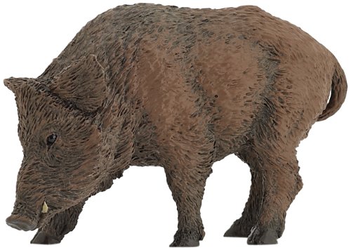 Wild Sow