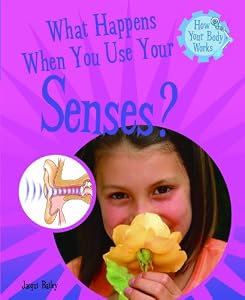 What Happens When You Use Your Senses? (How Your Body Works)