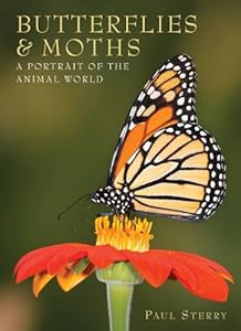 Butterflies &amp; Moths: A Portrait of the Animal World by Paul Sterry
