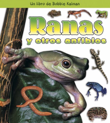 Ranas Y Otros Anfibios/ Frogs and Other Amphibians (Que Tipo De Animal Es? / What Kind of Animal Is It?) (Spanish Edition) by Bobbie Kalman