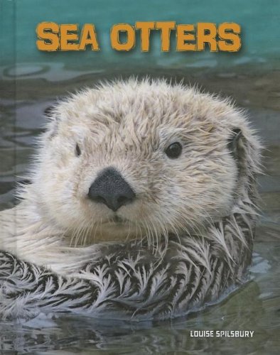 Sea Otters by Louise Spilsbury