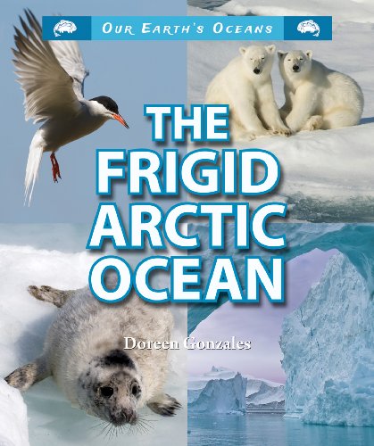 The Frigid Arctic Ocean by Doreen Gonzales