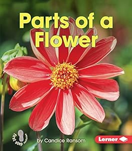 Parts of a Flower